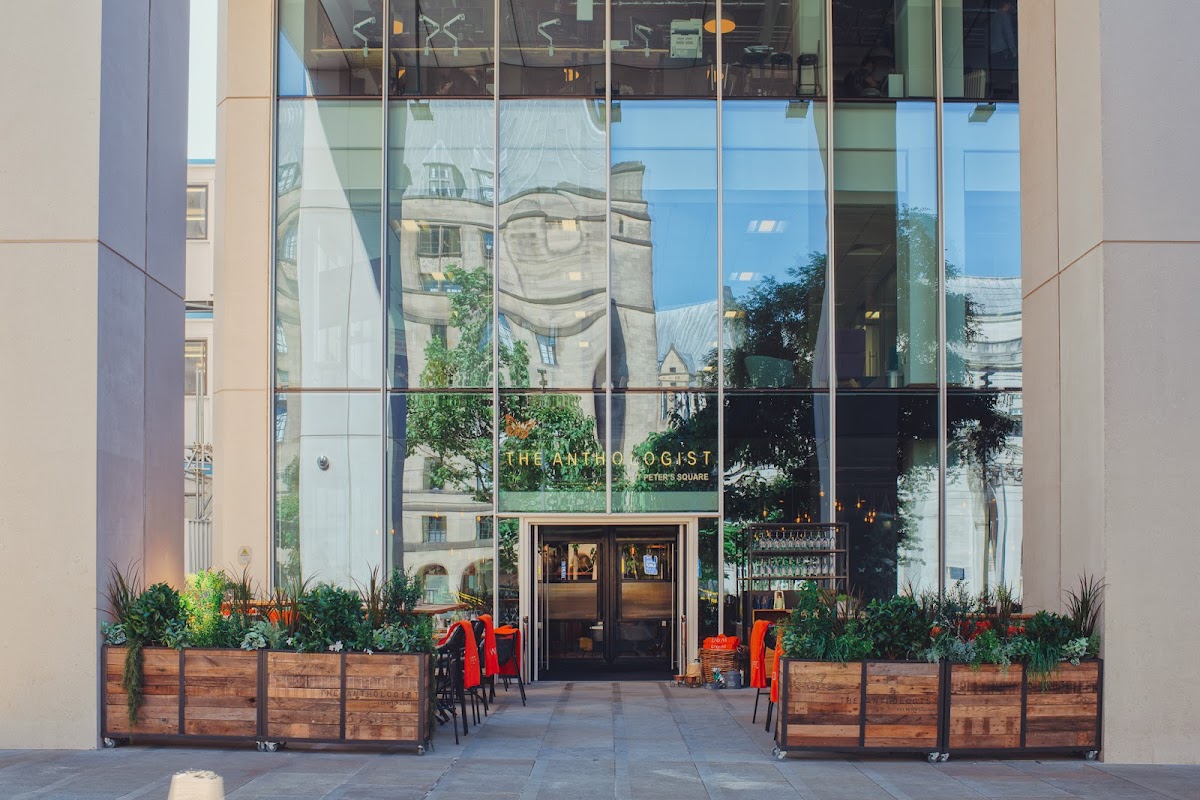 The Anthologist St Peter's Square